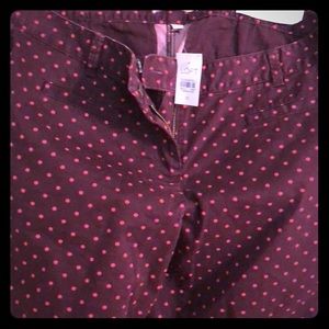 Ann Taylor loft pants